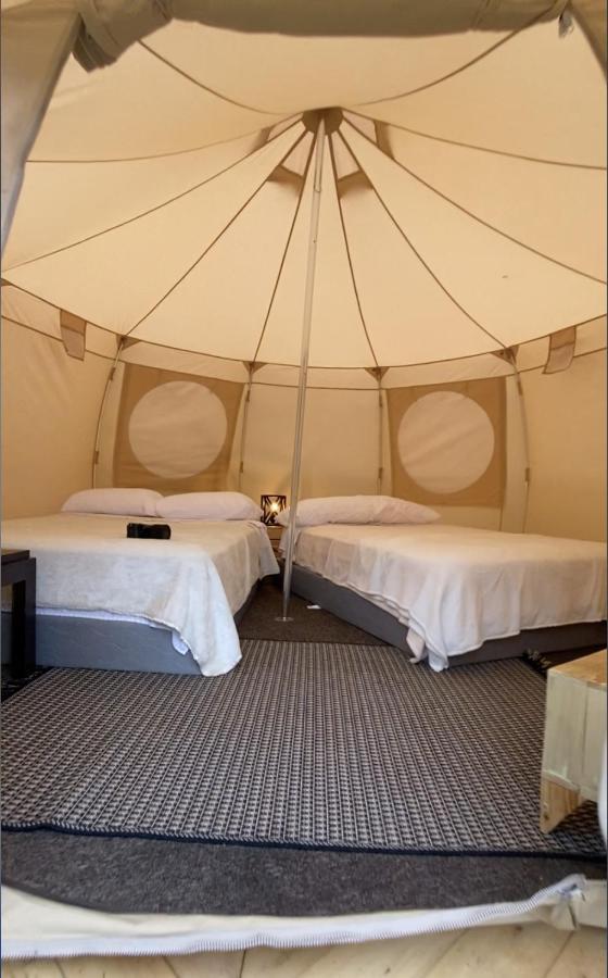 Hawkay Glamping Campsite *